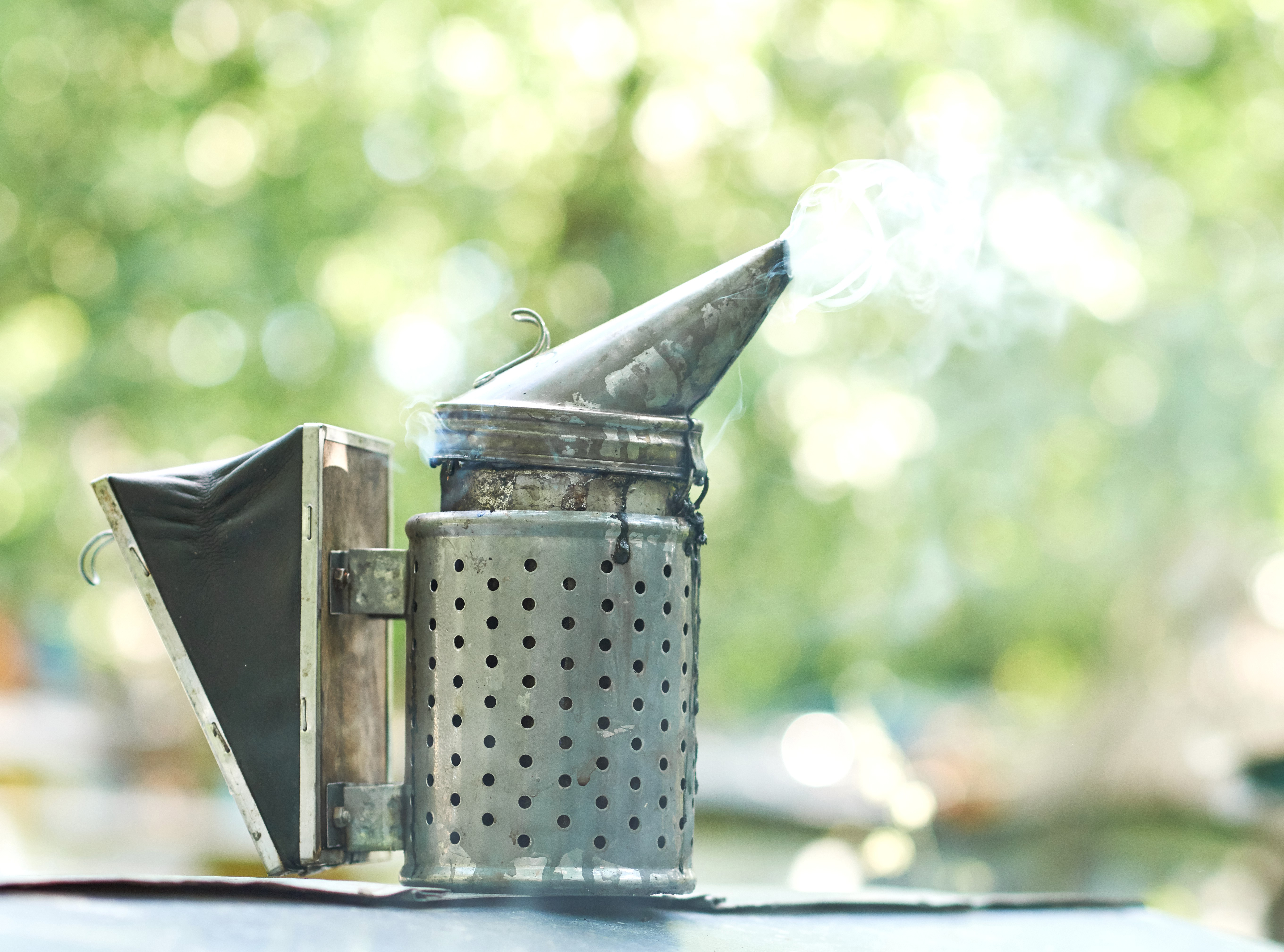 Smoker