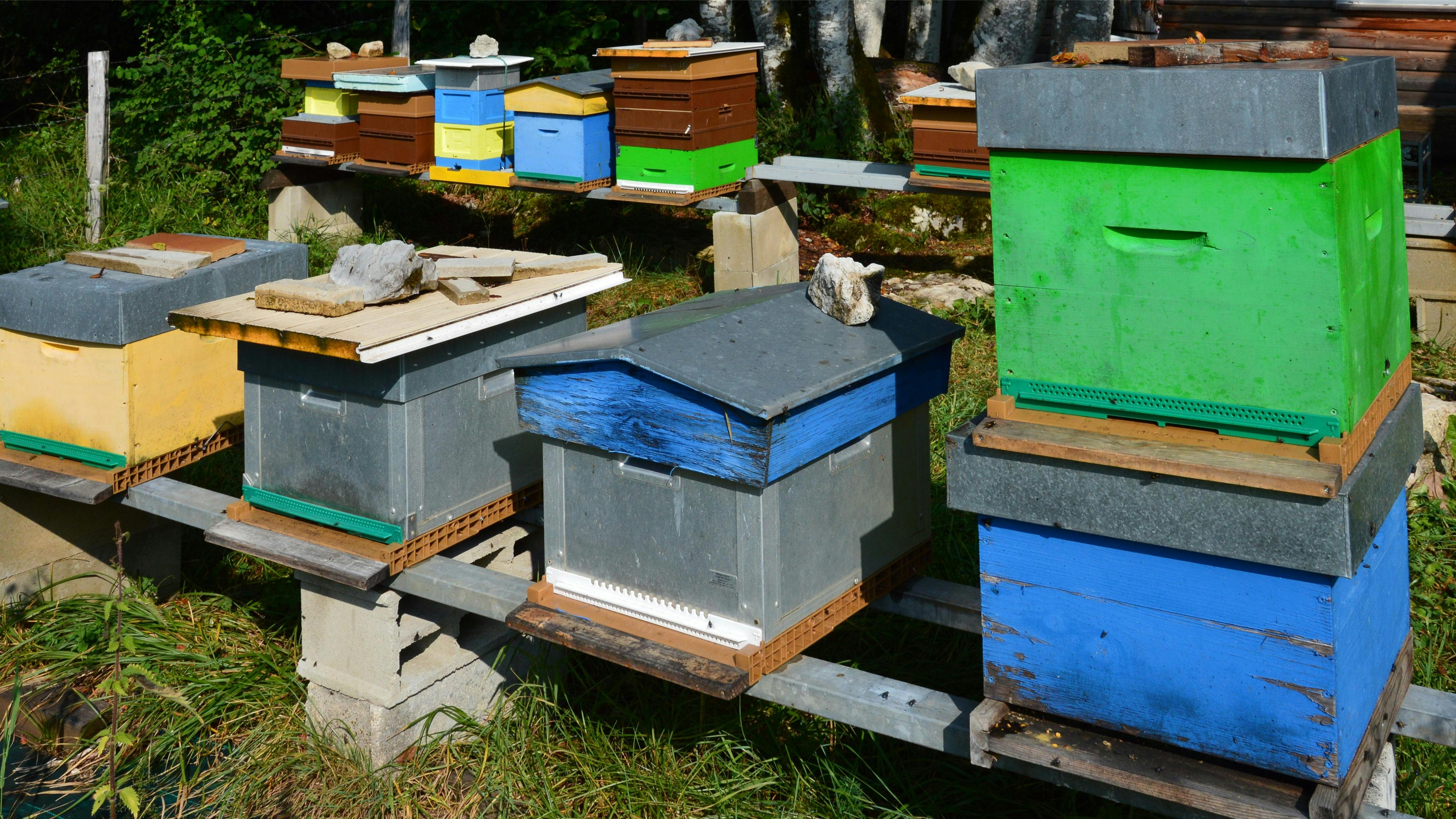 Hive types